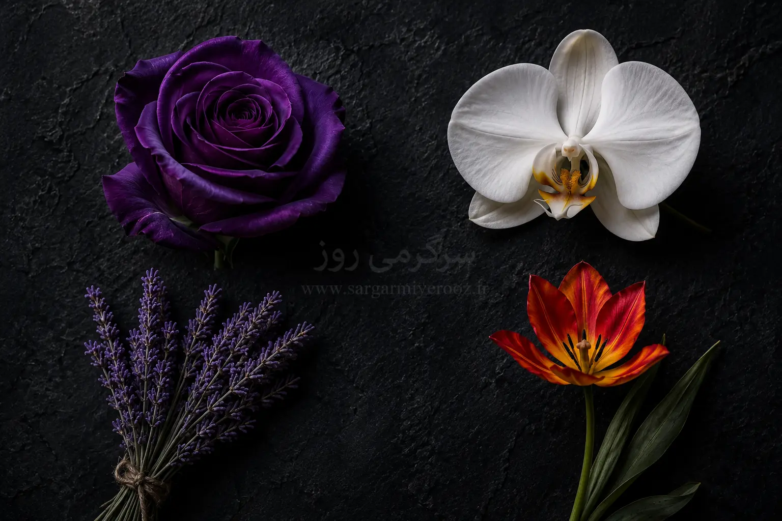 باغچه درونی شما چه رنگی است؟ | با انتخاب یک گل لایه های عمیق خودتان را کشف کنید!