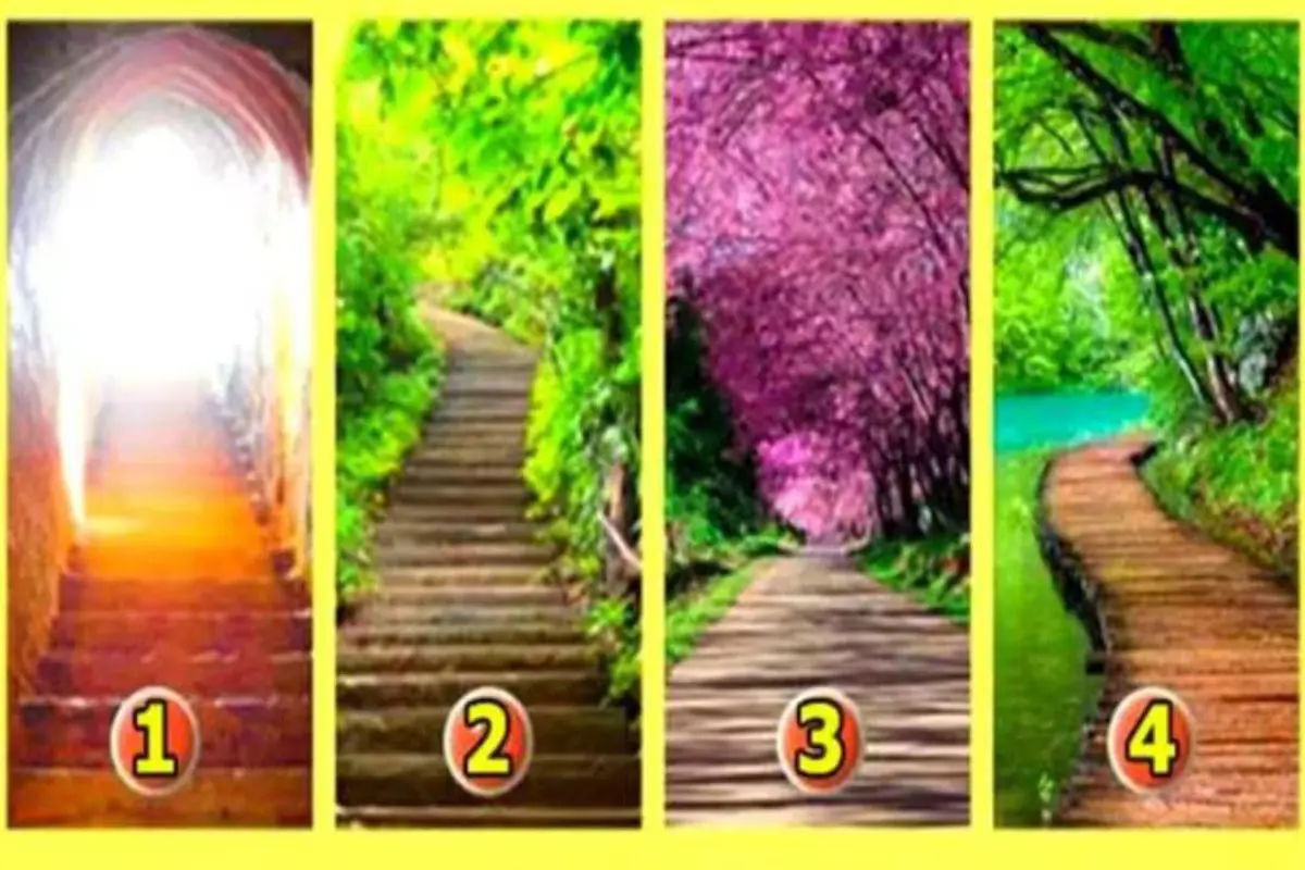 طالع بینی | یک راه و انتخاب کنید و ببینید سرنوشت شما را به کجا می برد