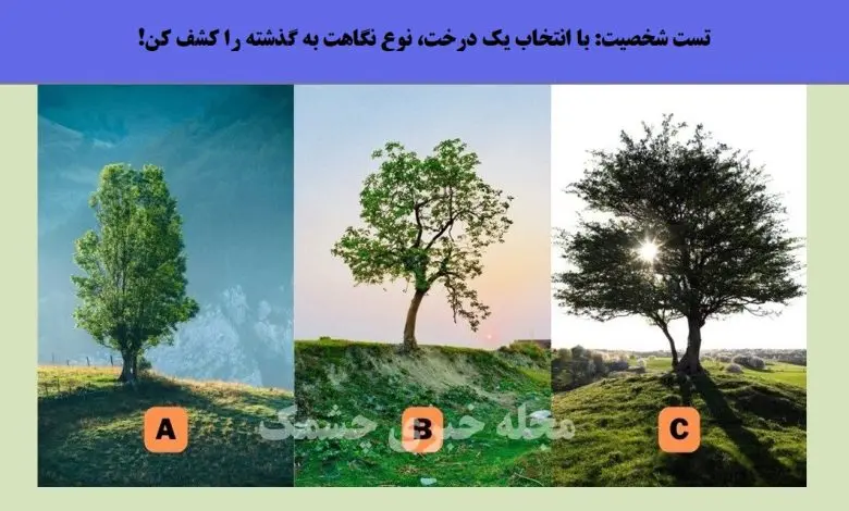 تست شخصیت شناسی | یک درخت نشون میده که تو بچگی چقدر سختی کشیدی