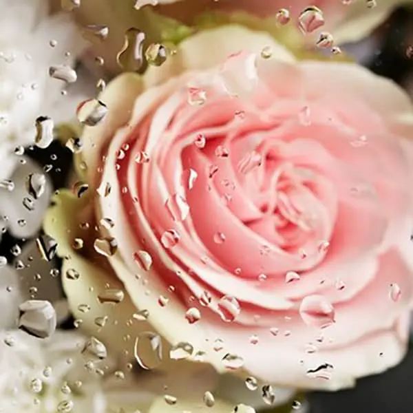 اگه چشمات زود به زود خسته میشه چاره اش اینجاست | درمان خانگی خستگی چشم با مواد طبیعی

