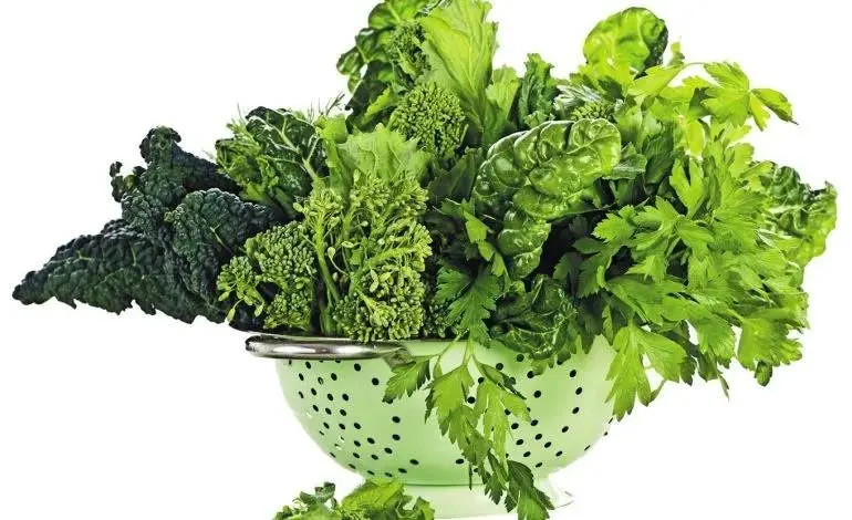 فواید سبزیجات سبزی که کمتر می‌شناسید!