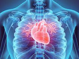 این غذاها باعث مسدود شدن رگ ها می شود