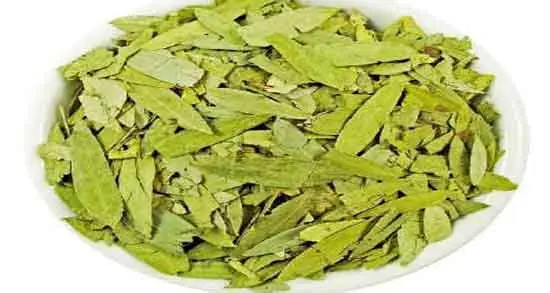 برگ این گیاه ضدیبوست، ضدچین و چروک، ضدلک، پاکسازی کننده بدن و چربی سوز قوی است