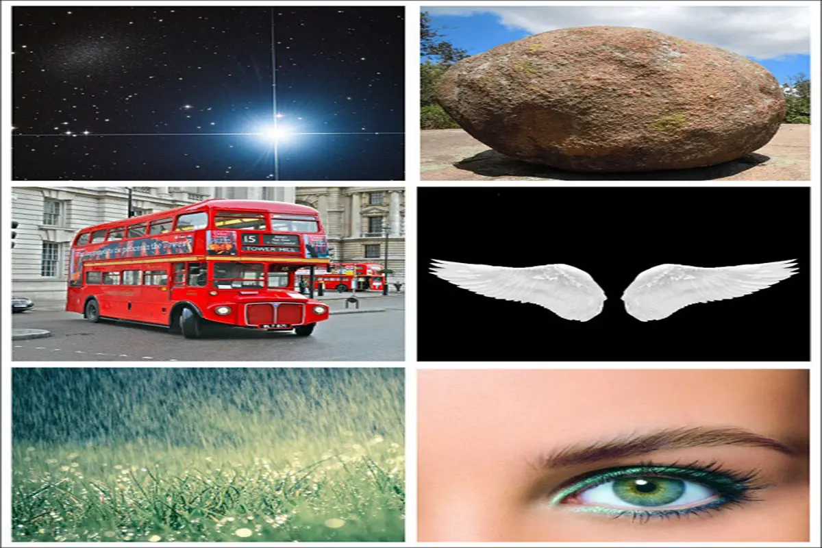 تست شخصیت شناسی | عامل خوشبختی و موفقیتت تو سال جدید چیه؟