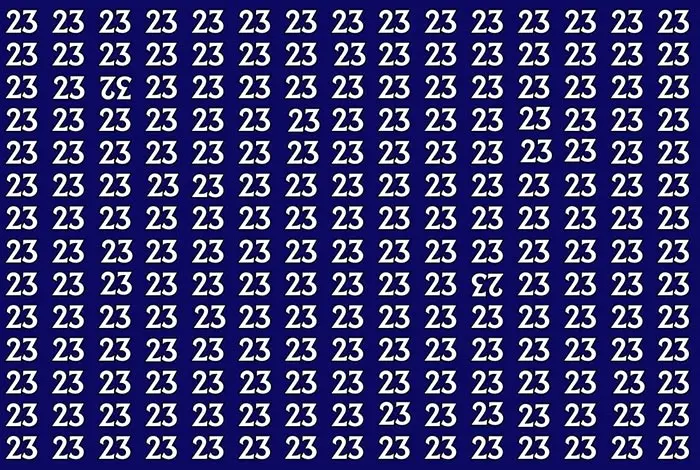 بازی فکری : در 6 ثانیه عددهای وارونه 23 و 32 را میان 23 ها پیدا کنید!