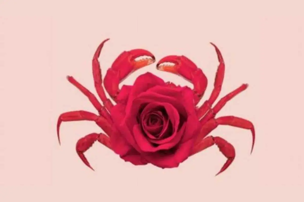 تست شخصیت شناسی | بگو اول چی دیدی تا بگم هوش برتر داری یا آدم عجیب غریبی هستی؟