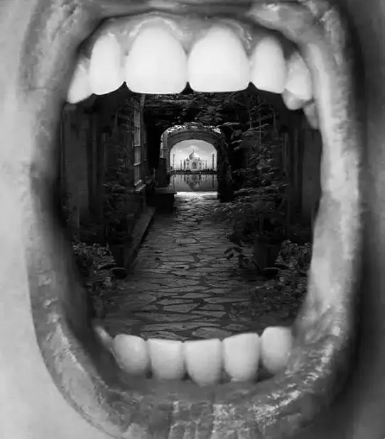 تست شخصیت شناسی: بگویید در ابتدا چه دیدید تا بفهمید چقدر آرمان‌گرایید!