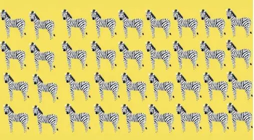 بازی فکری؛ اونایی که قدرت تمرکز مثل بوداها دارن میتونن گورخر متفاوت رو سه سوت پیدا کنن!