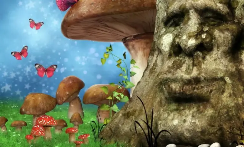 تست شخصیت شناسی | این تست رو انجام بده تا بگم موجودات ماورایی در اطرافت هستن یا نه

