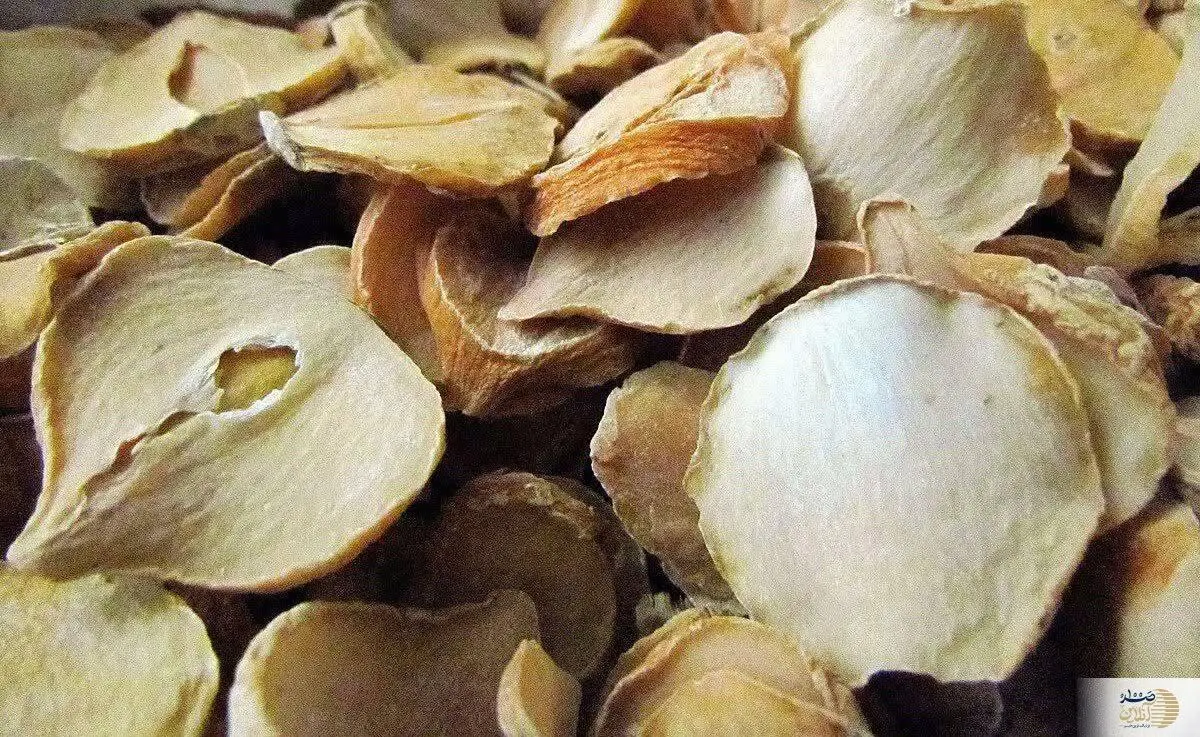 مصرف کنندگان این گیاه خشک با سکته مغزی و قلبی از دنیا نمی روند  | همیشه در منزل داشته باشید