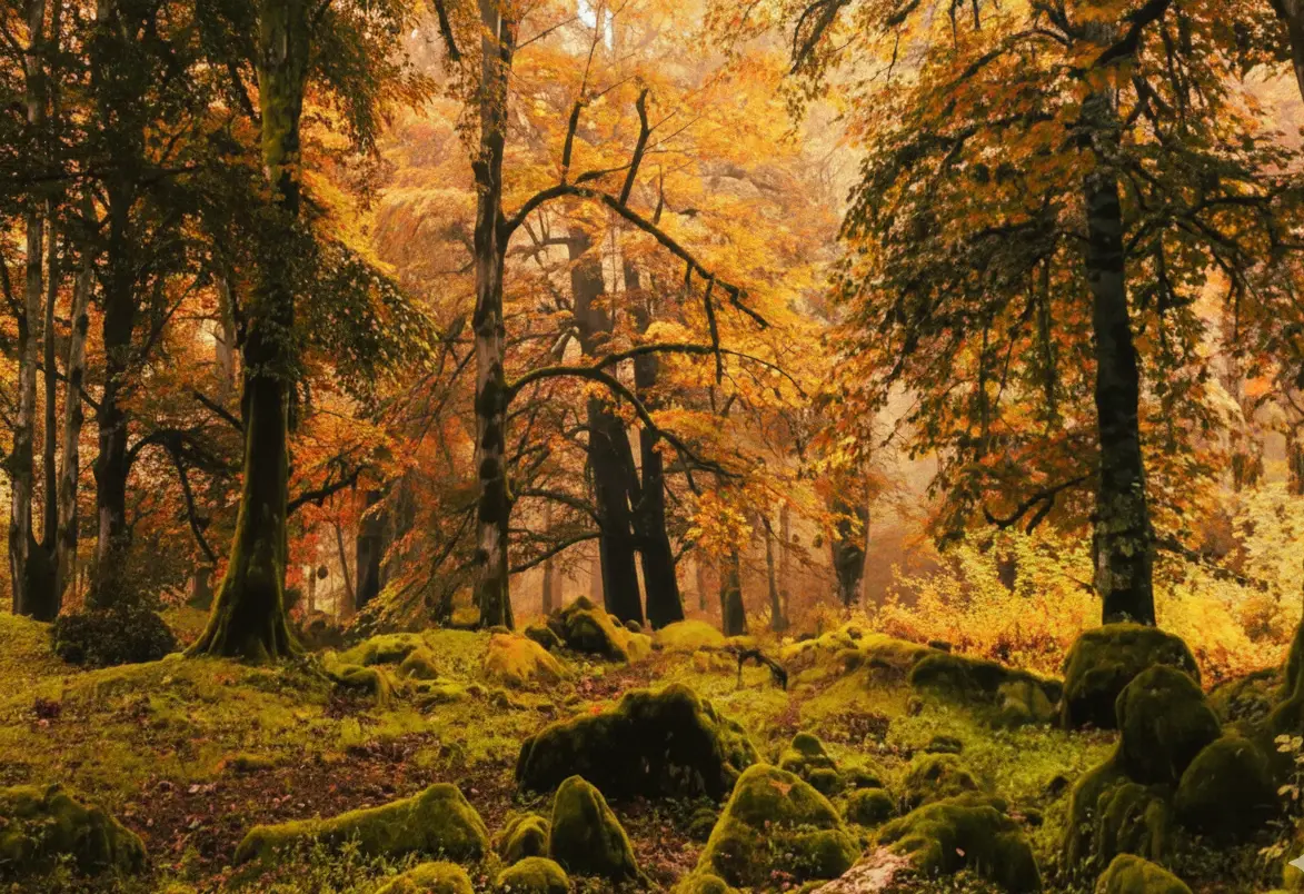 سفری لذت بخش به زیباترین روستای نزدیک تهران در پاییز؛ روستای  وارنگه رود در یک ساعتی تهران