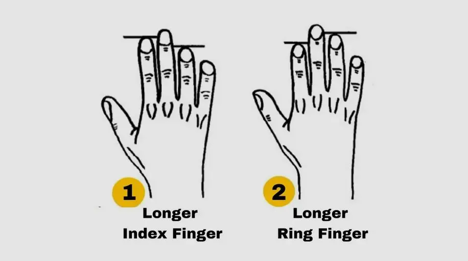 تست شخصیت شناسی | میخوای بدونی شریک زندگیت چقدر مسئولیت پذیره؟ به طول انگشتاش دقت کنی کافیه