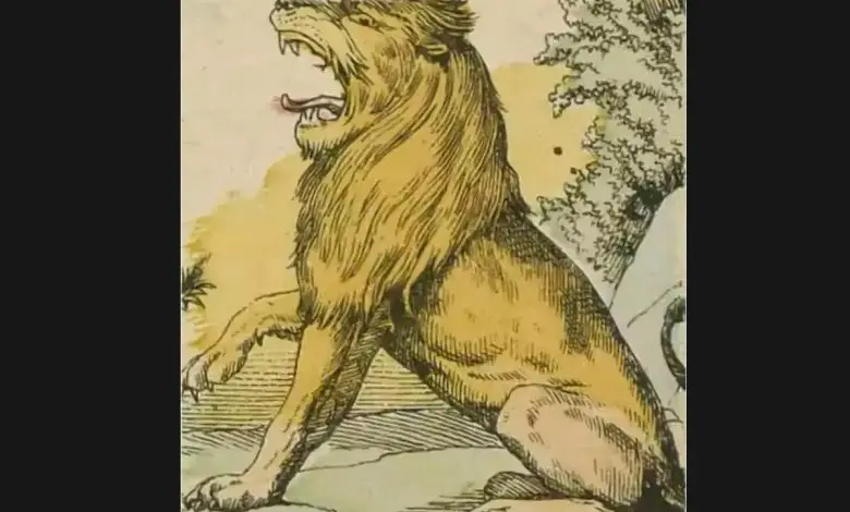 تست هوش | 2 تا موش تو تصویر مخفی شدن که فقط درصد کمی تونستن اونارو پیدا کنند