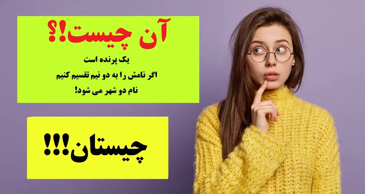  یک پرنده است که اگر نامش را به دو نیم تقسیم کنیم، نام دو شهر می شود!؟