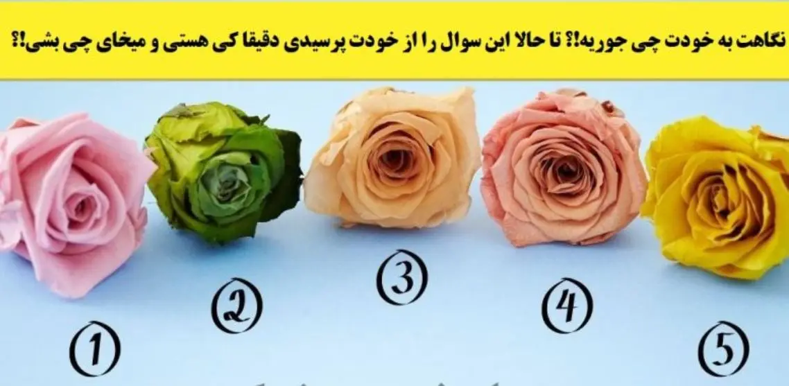 تست شخصیت شناسی | تا حالا فکر کردی ته داستانت چی میشه؟ یک گل انتخاب کن بگم
