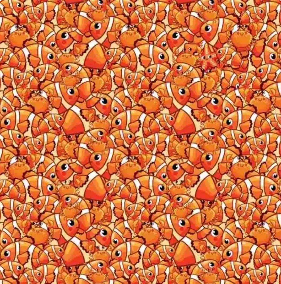 بازی فکری : چشم عقابی ها تو 20 ثانیه ستاره دریایی و پیدا کنند!