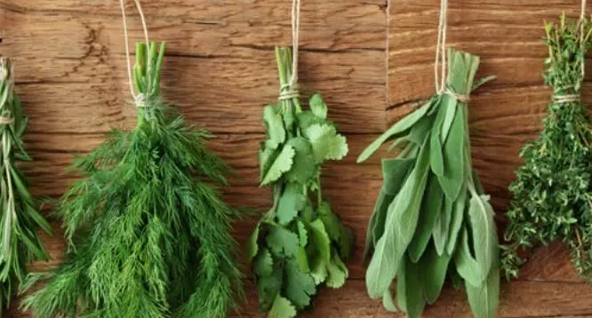 کلیک کن و با بهترین آنتی هیستامین های طبیعی و گیاهی و البته ارزان قیمت آشنا شو