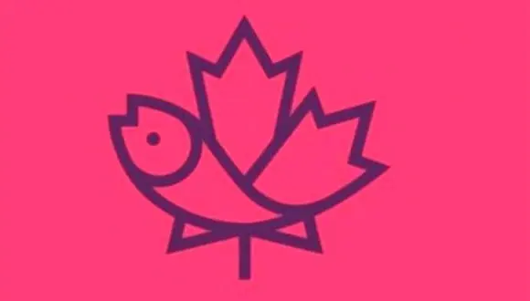 تست روانشناسی | چقدر آدم همدل و مهربونی هستی؟