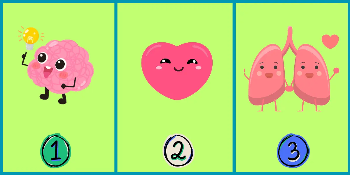 تست شخصیت شناسی | قلب، مغز یا ریه؟یکی و انتخاب کن تا بگم چقدر احساسی هستی