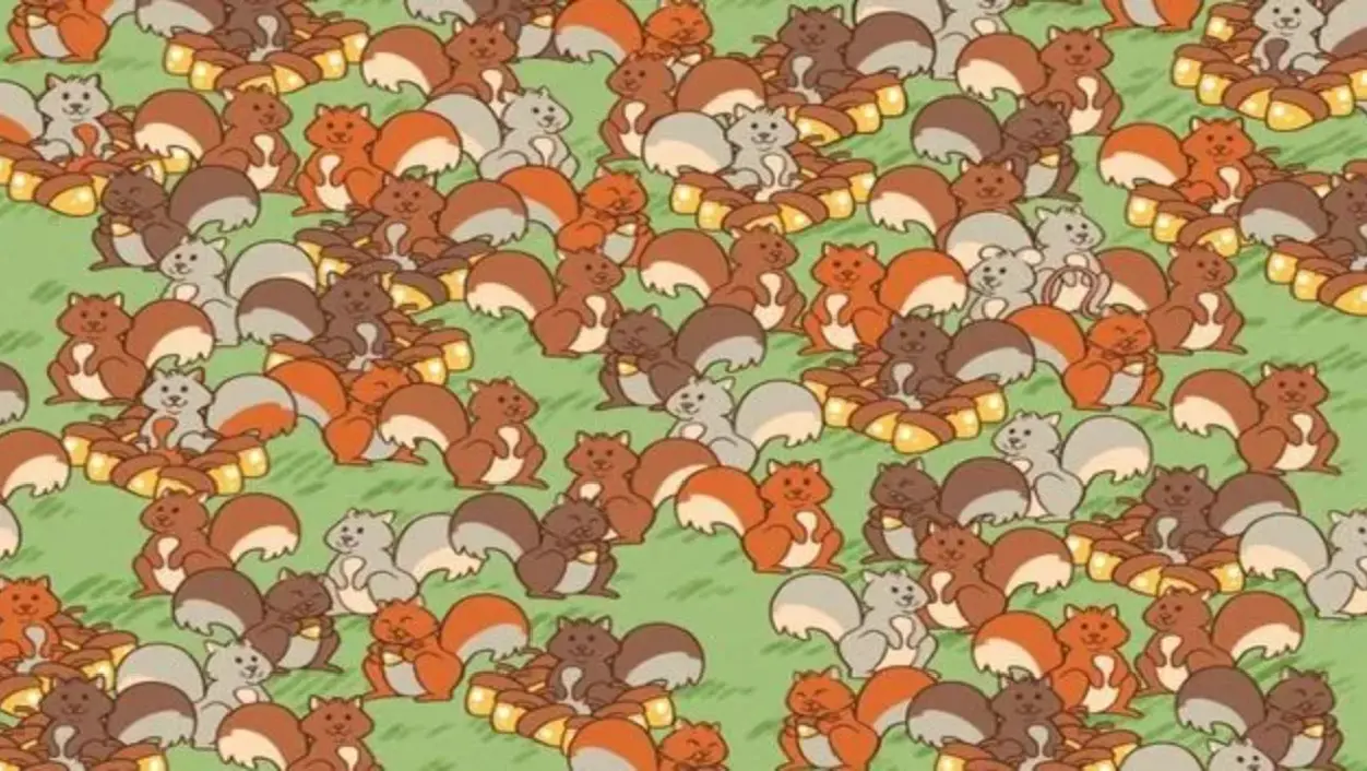 بازی فکری: فقط اونایی که دید فول اچ دی دارن تو ۵ ثانیه موش را پیدا می کنند!