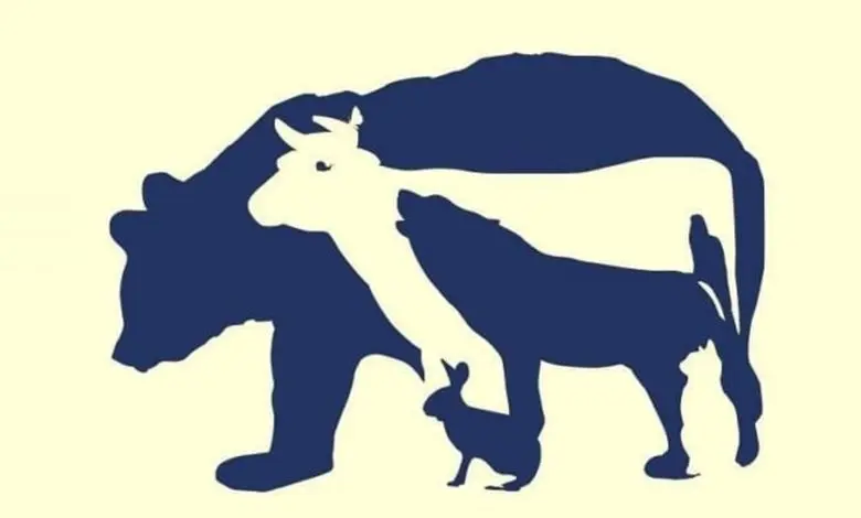 تست شخصیت شناسی | اولین حیوونی که دیدی ذات درونیت رو،  رو میکنه