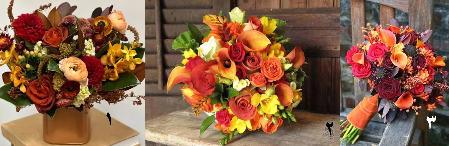 تست شخصیت شناسی: با انتخاب یک گل پاییزی بفهمید ادم احساساتی هستی یا منطقی!