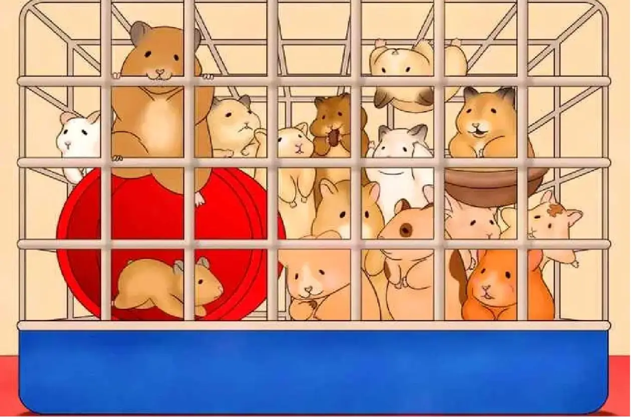 بازی فکری : فقط تیزهوش ها تو 8 ثانیه خرگوش و بین همسترها پیدا می کنند!