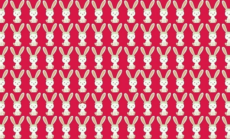 تست هوش | زیر ده ثانیه خرگوش متفاوت رو پیدا کنی دید خلبانی داری