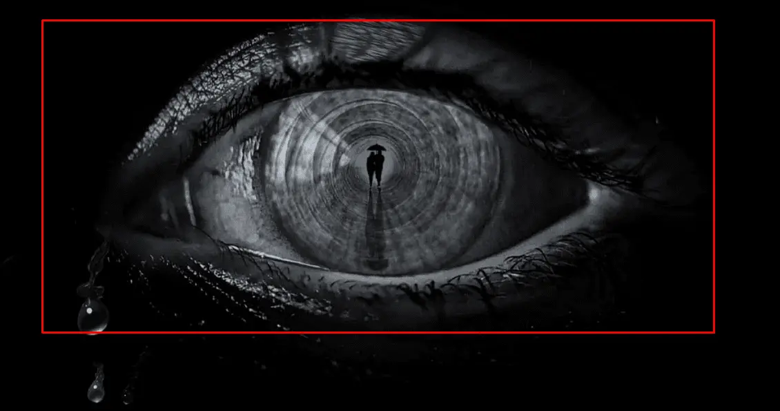 تست شخصیت شناسی | میخوای بدونی چقدر آدم شروری هستی؟ بگو اول تو عکس چی دیدی؟