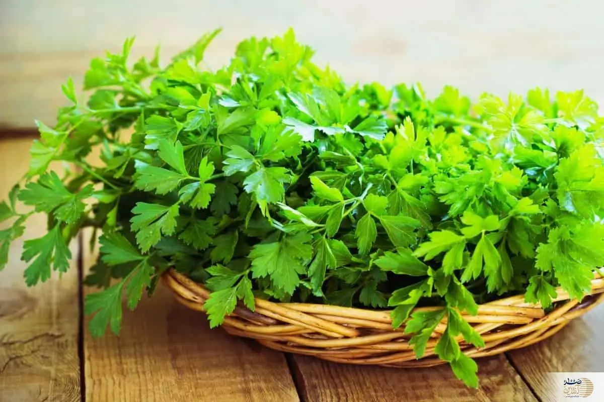  با خوردن این سبزی از ویتامین C بی نیاز می شوید 