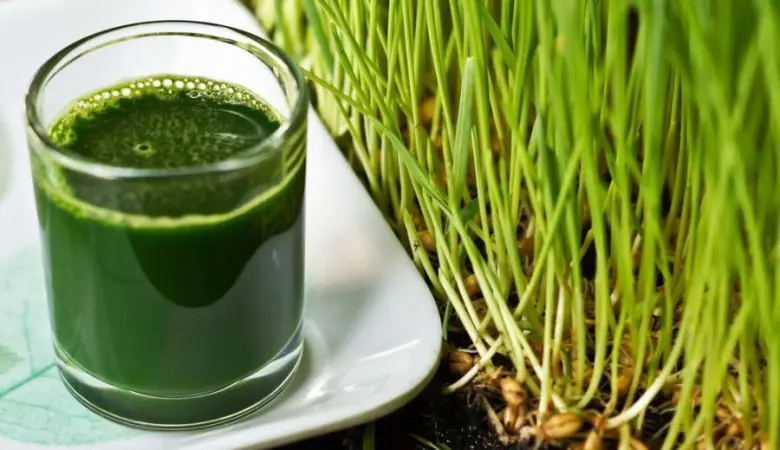  شفافیت پوست و سم زدایی بدن با این گیاه 