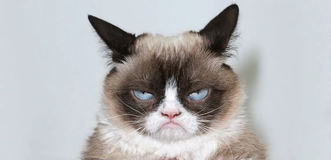 روانشناسی شخصیت | با متولدین این ماه ها در نیفتید اونا کینه ای ترین آدمای روی زمین اند