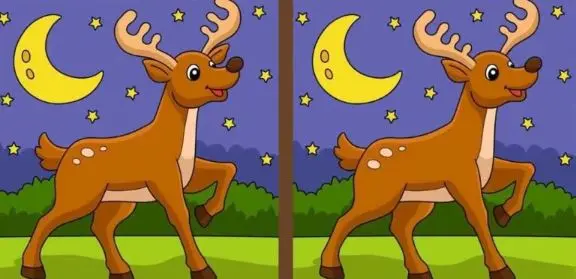 بازی فکری : اگر چشم هات عین شاهینه تو 14 ثانیه تفاوت عکس هارو پیدا کن!