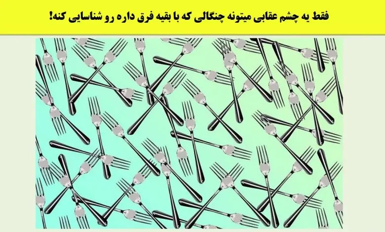 تست هوش | میتونی تو 3 ثانیه چنگال متفاوت رو پیدا کنی؟