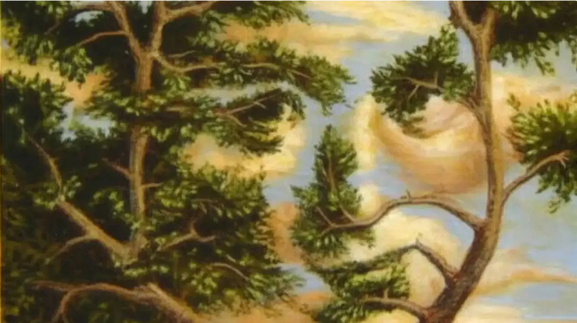 روانشناسی شخصیت: بگویید در ابتدا چه دیدید تا بفهمید منطقی هستید یا احساسی!