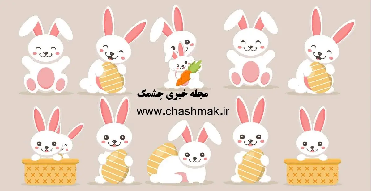 تست هوش | این تست بینایی شما رو به چالش میکشه | چندتا خرگوش مخفی تو شکل میبینی؟