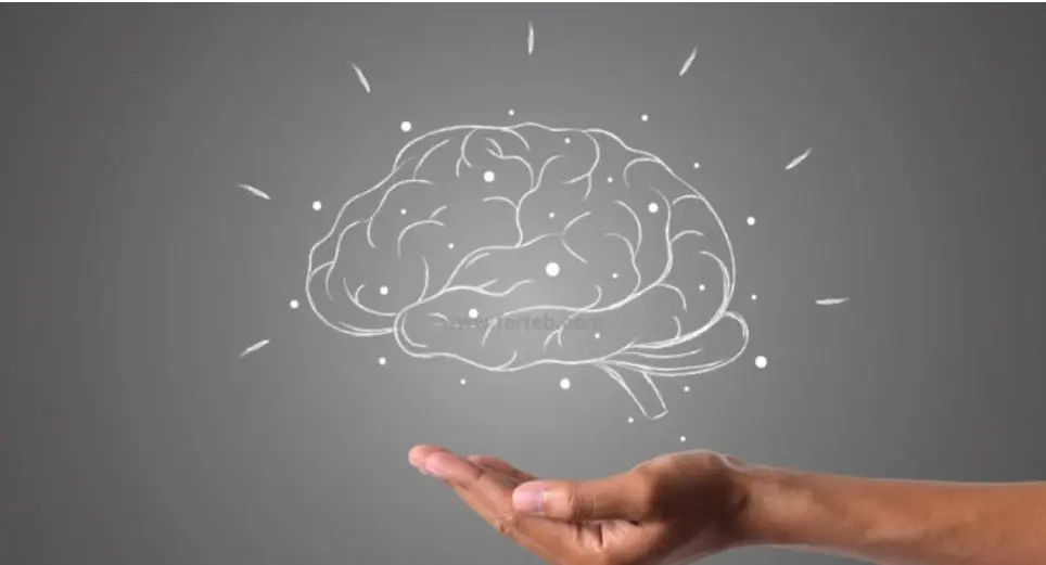  ویتامینی که کمبودش باعث کوچک شدن مغز می‌شود 