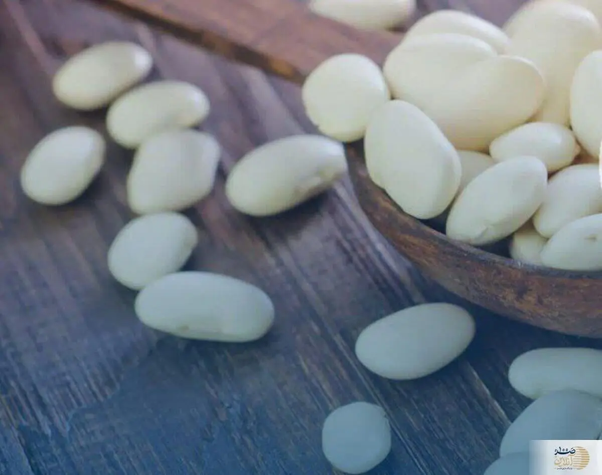 به این دانه ارزشمند گوشت بدون استخوان می‌گویند | هر هفته مصرف کنید

