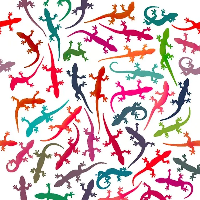 بازی فکری : فقط اونایی که دید تیزبینی دارن تو 4 ثانیه مارمولک متفاوت و پیدا می کنن!