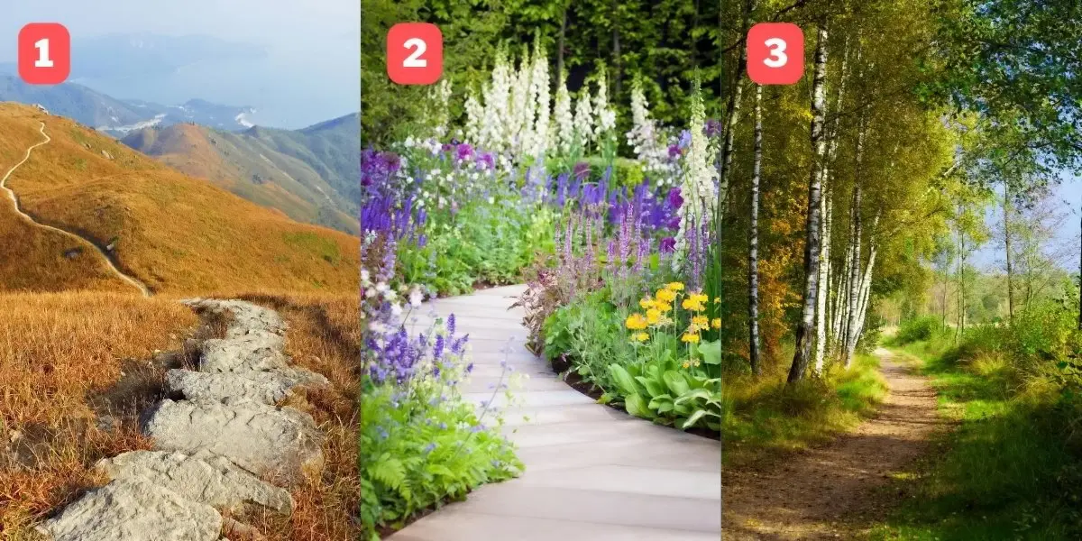 طالع بینی | یک مسیر انتخاب کن تا راه درست زندگی رو بگم