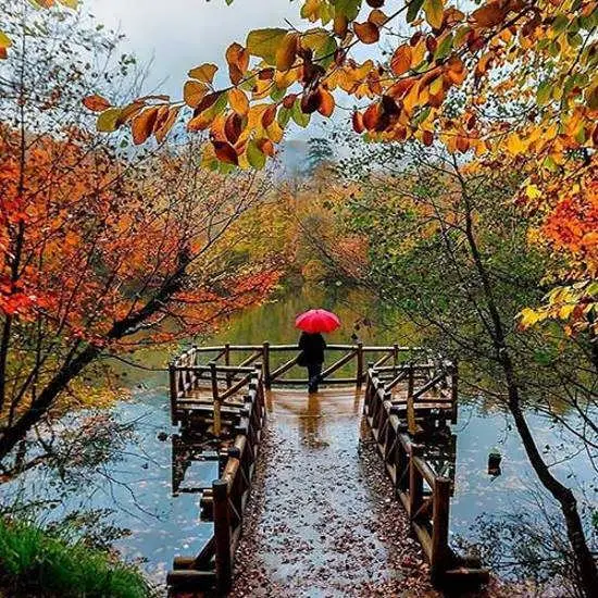 تست شخصیت شناسی | بگو اول چی دیدی تا بهت بگم هنوزم دنبال عشق اولت هستی یا نه؟