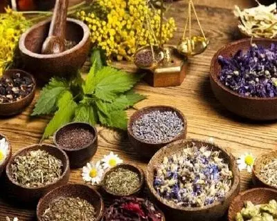 با این گیاهان معجزه آسا،قاروقور شکمتان تمام میشود!