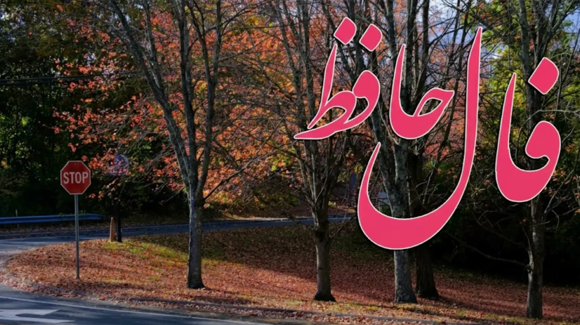فال حافظ جمعه ۲۲ اسفند ماه ۱۴۰۴