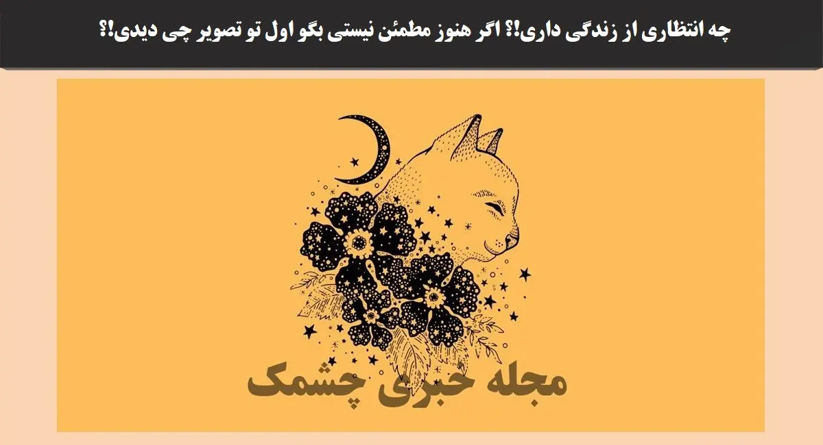 تست شخصیت شناسی | میخوای بگم در آینده چه اتفاقی برات میفته؟ بگو اول چی دیدی