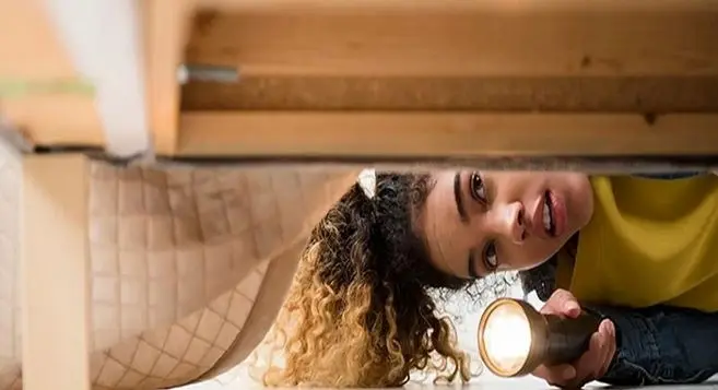  با این راهکار فوری و سریع اشیا گمشده رو تو خونه پیدا کن | ترفند کاربردی پیدا کردن اشیاء ریز 