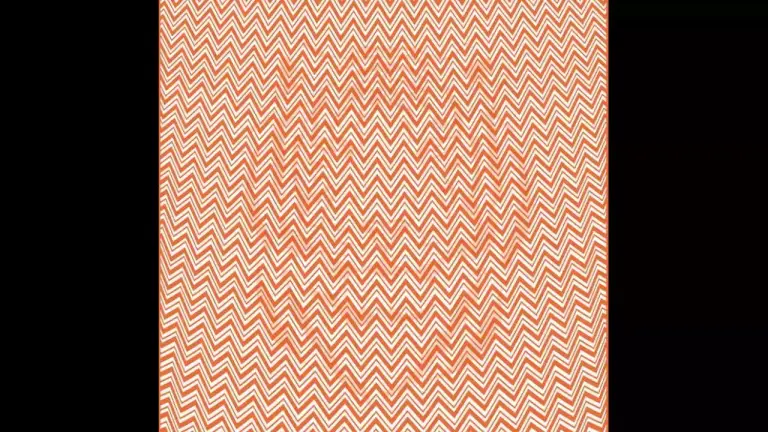 تست بینایی | چشمات آستیگمات باشه نمیتونی حیوون درون تصویر رو تشخیص بدی