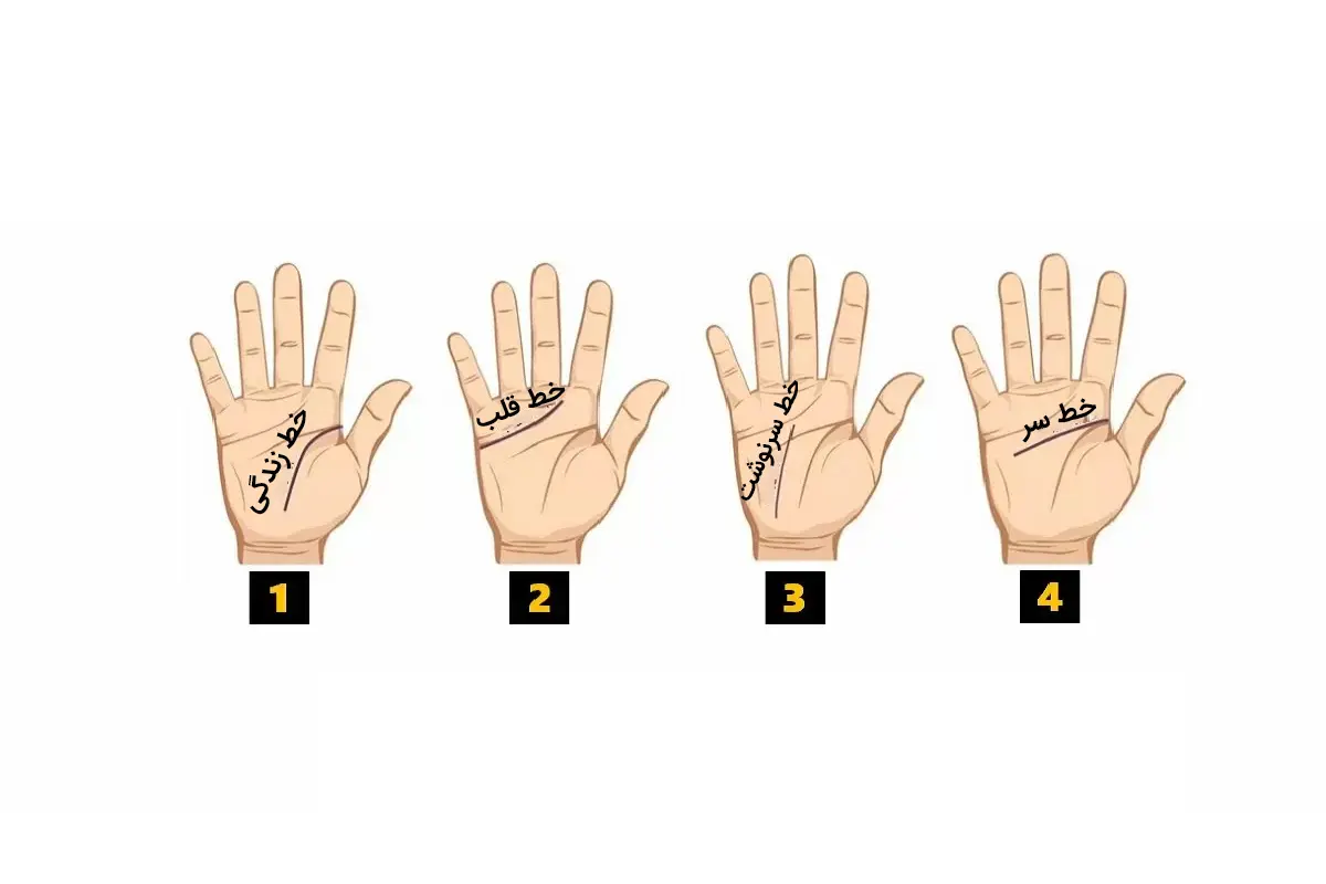 تست شخصیت شناسی | طالع بینی جالب آینده شما از روی خطوط کف دست + کاملا دقیق و درست