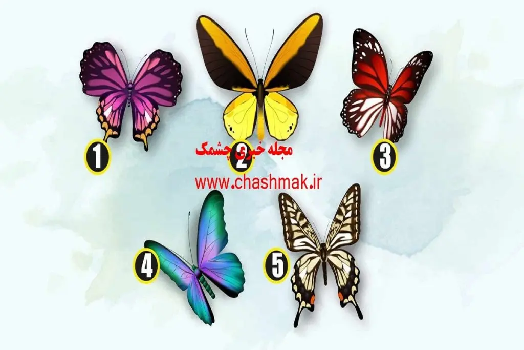 طالع بینی | میخوای از آیندت یه اطلاع کوچیک داشته باشی؟ یه پروانه انتخاب کن