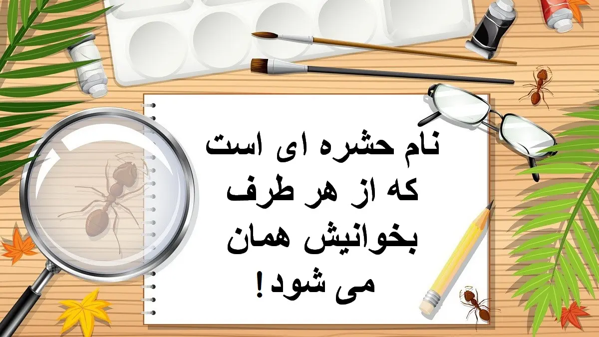 چیستان روز | نام حشره ای است که از هر طرف بخوانیش همان می شود!