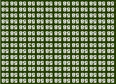 بازی فکری:حتی افرادی با ضریب هوشی بالا و انیشتینی هم نمی‌توانند در کمتر از 7 ثانیه 53 را در میان اعداد 58 را پیدا کنند